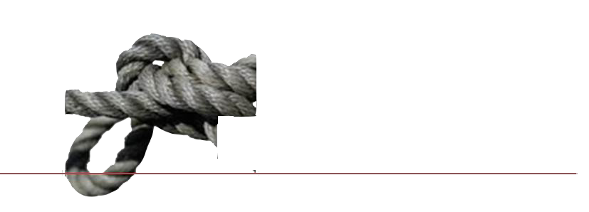 Logótipo Anógórdio